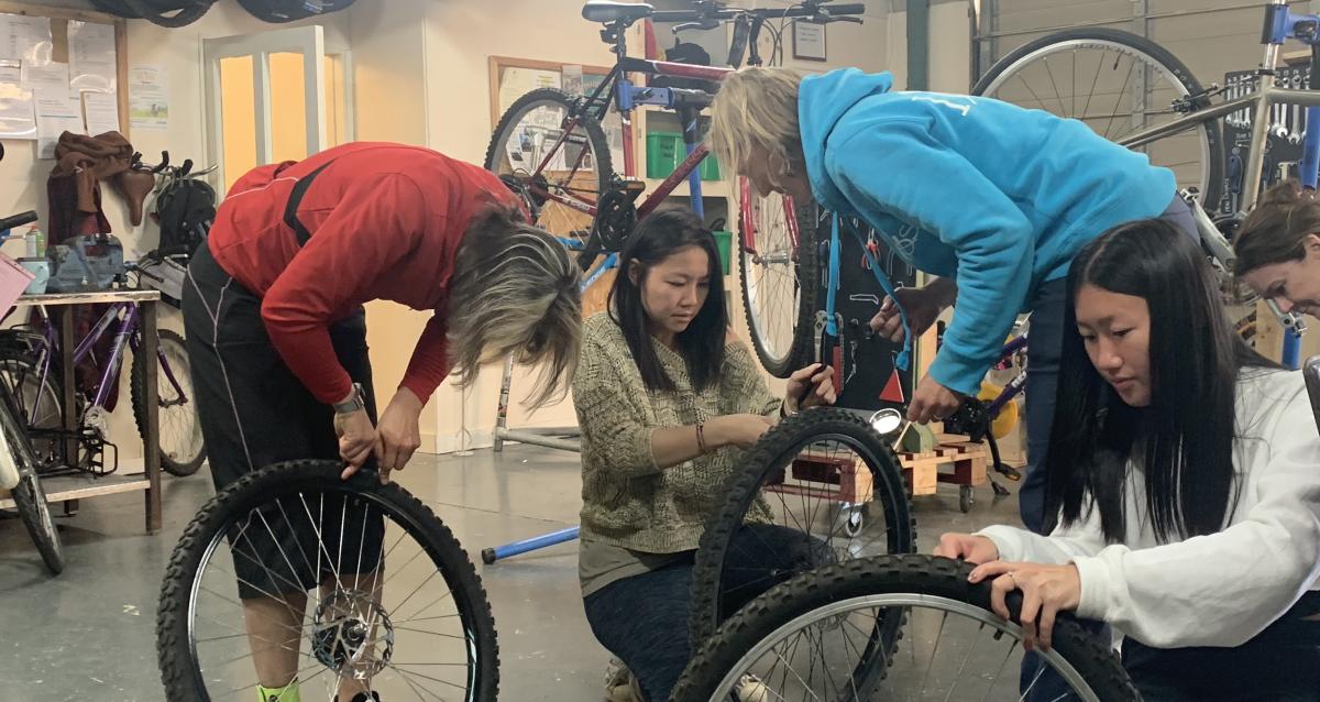 Windrush bike shop project